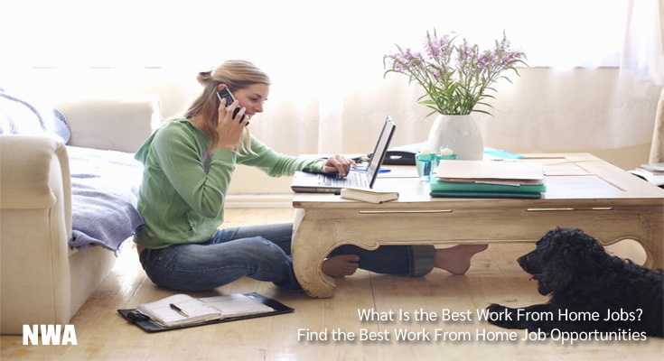 Find the Best Work From Home Job Opportunities