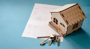 Renovation vs. Purchase: Nuances in Housing and Property Loans